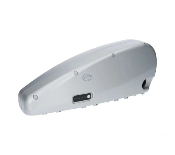 BMZ Go Swiss 36V 16Ah Drive Down Tube