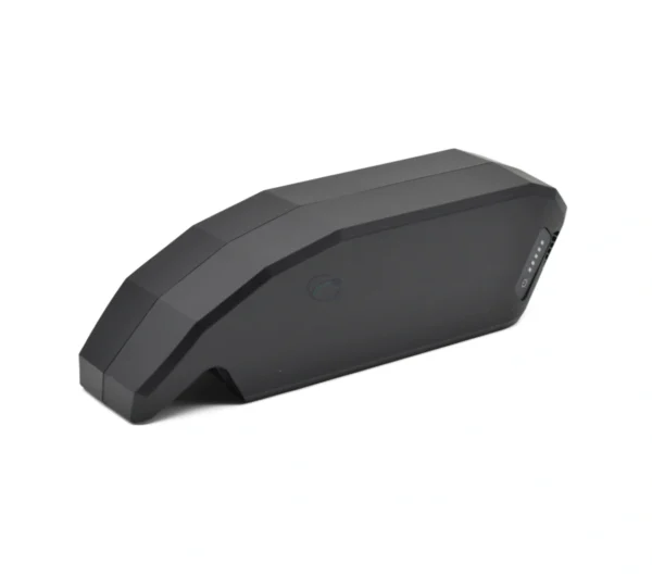 Batterie Bosch PowerPack 540 Performance Active par E-Bike Vision