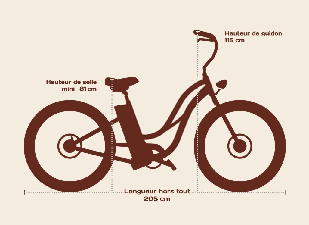 Vélo électrique Lady Gorille – Image 13