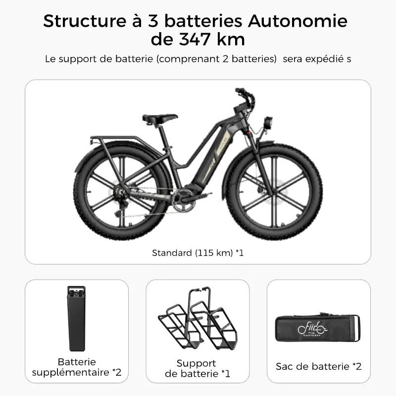 Fiido Titan Fat Tire Touring Vélo électrique – Image 2