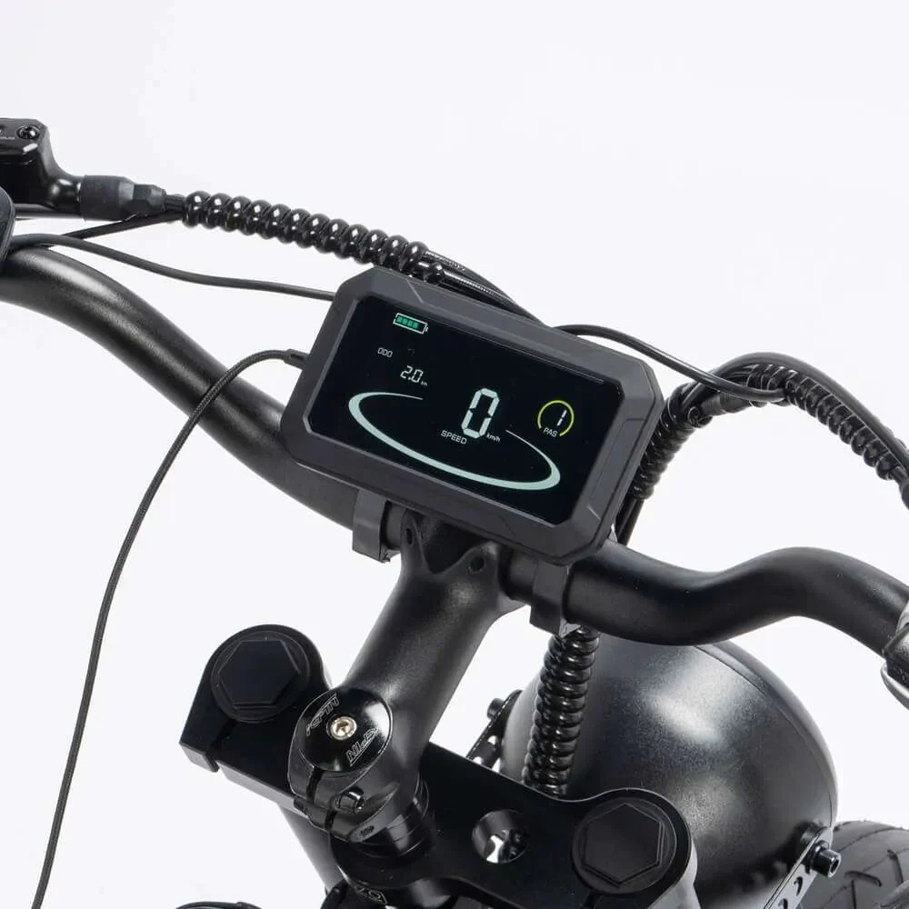 Vélo électrique YVY C20Pro 2000W à gros pneus à double moteur – Image 6